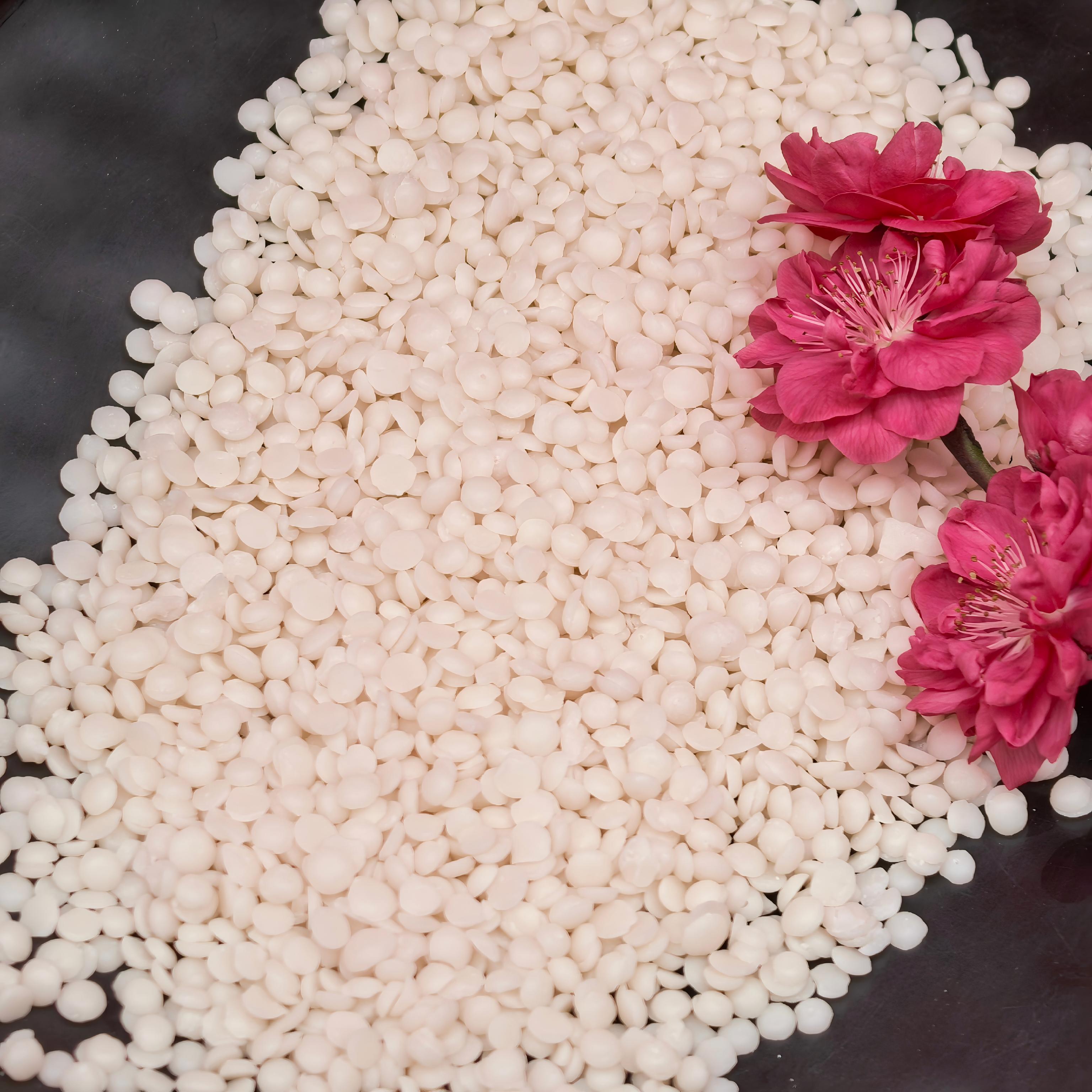 Unveiling the Best Berry Wax Exporter for Premium Quality and Purity