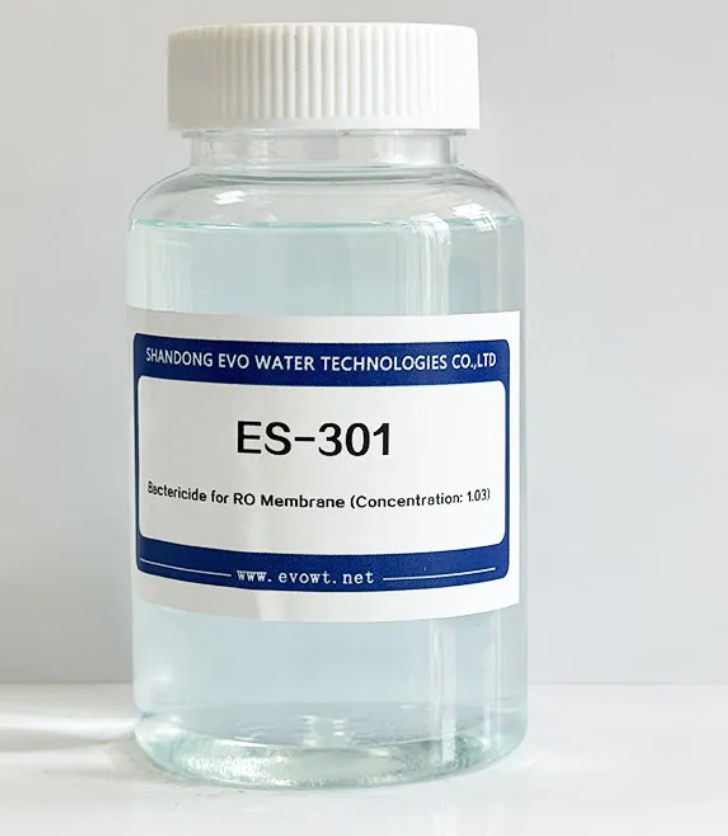 Reverse Osmosis Scale Inhibitor Supplier: Choosing the Right Partner for Membrane Protection