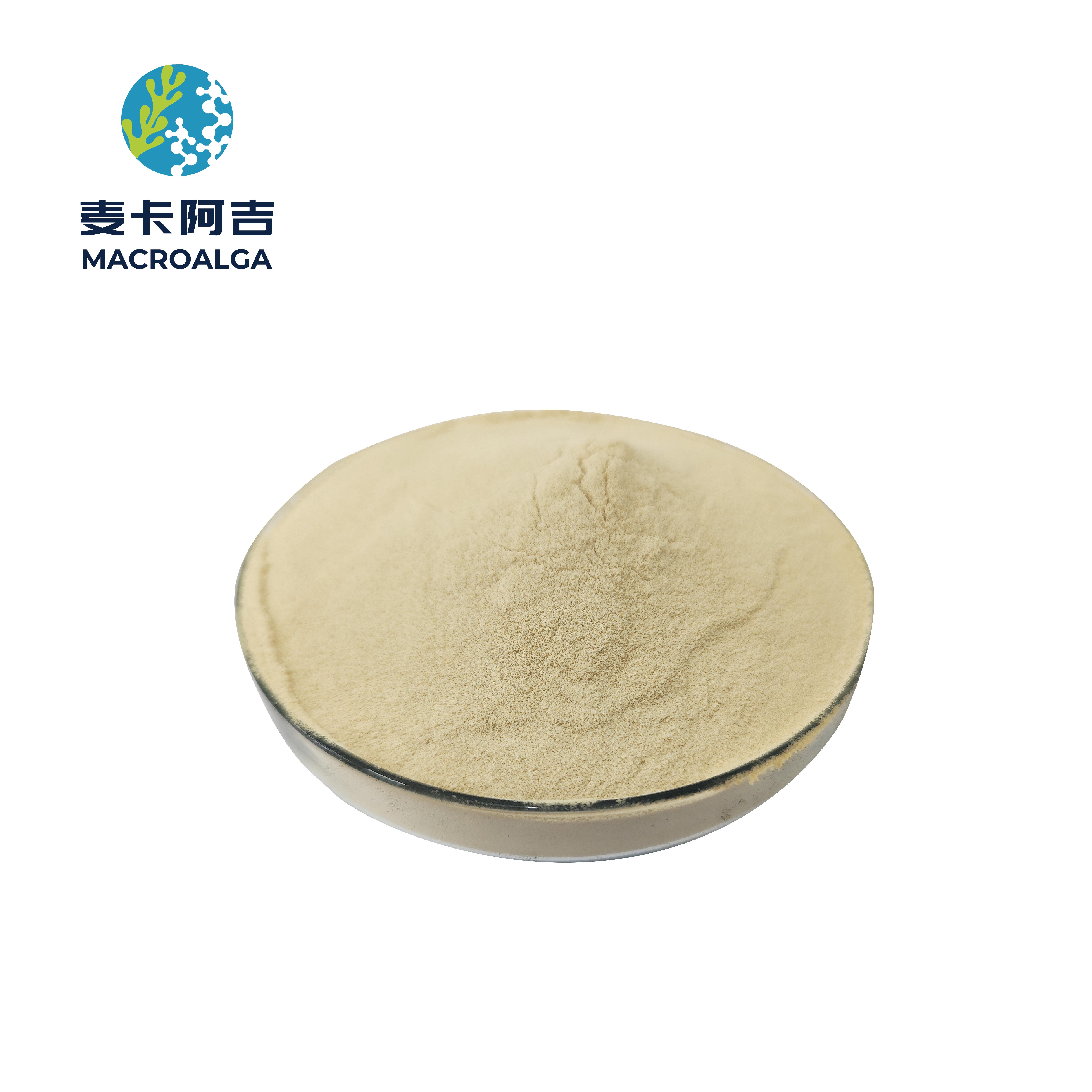 Reliable Protein Hydrolysate in China: How to Identify the Best Option