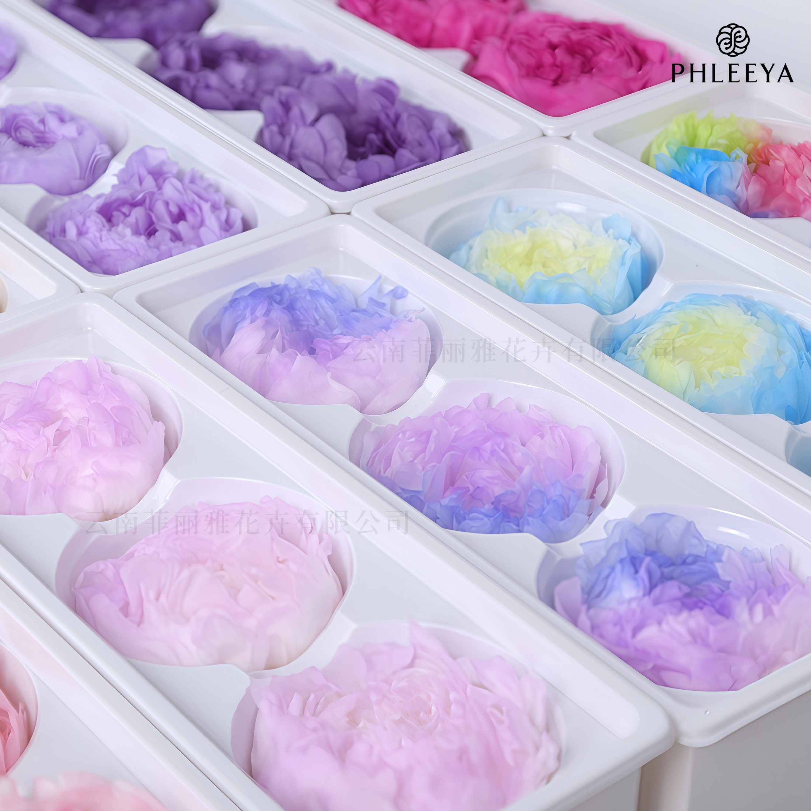 Flower Materials Exporter Essentials for Global Floral Sourcing